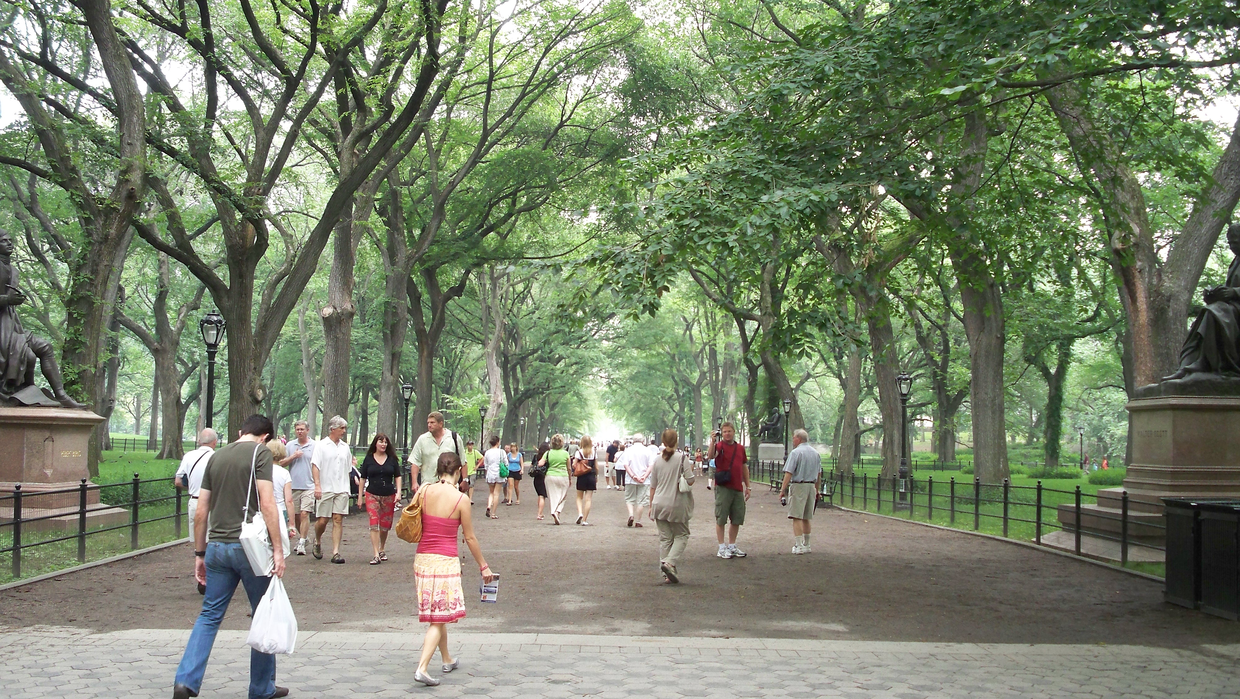 Walk through central park to get in extra steps
